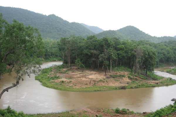 Jungle Star Eco Camp-Maredumilli