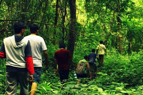 Maredumilli Forest Trekking