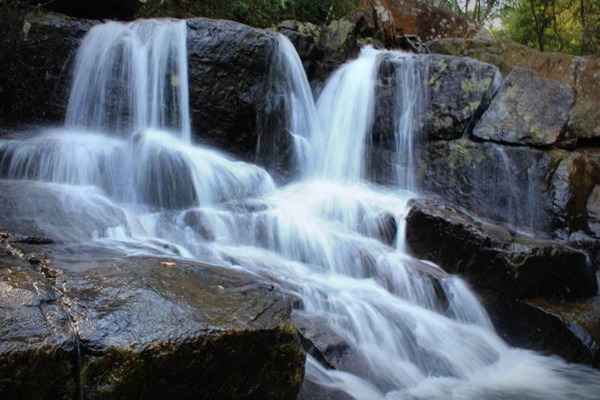Jalatharangini Waterfalls-Maredumilli