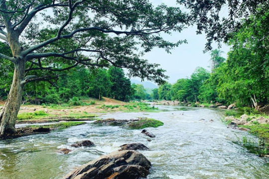Pamuleru Waterfalls-Maredumilli