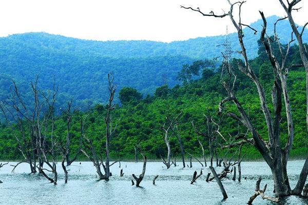 Bhupathipalem Reservoir