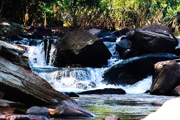 Amruthadhara Waterfalls-Maredumilli