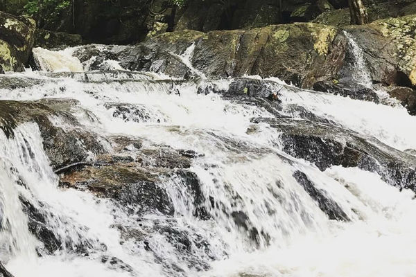 Rampa Waterfalls-Maredumilli