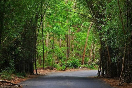 Rajahmundry-Maredumilli By Road journey