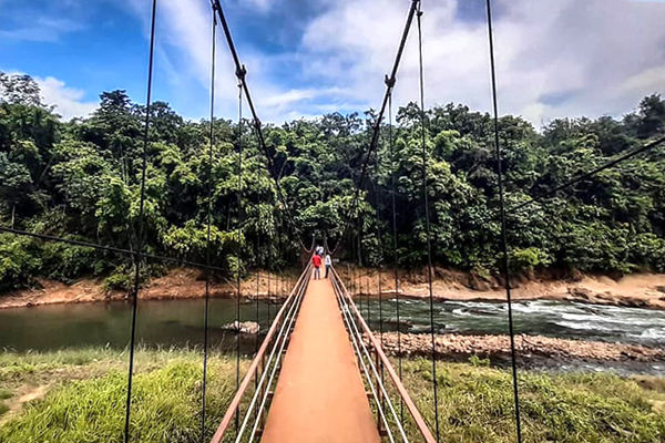 Jungle Star Eco Camp-Maredumilli