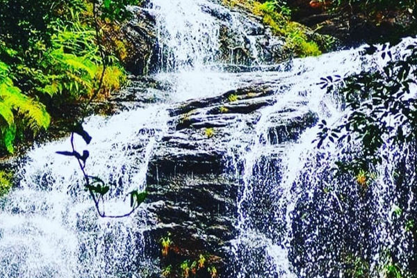 Jalatharangini Waterfalls-Maredumilli